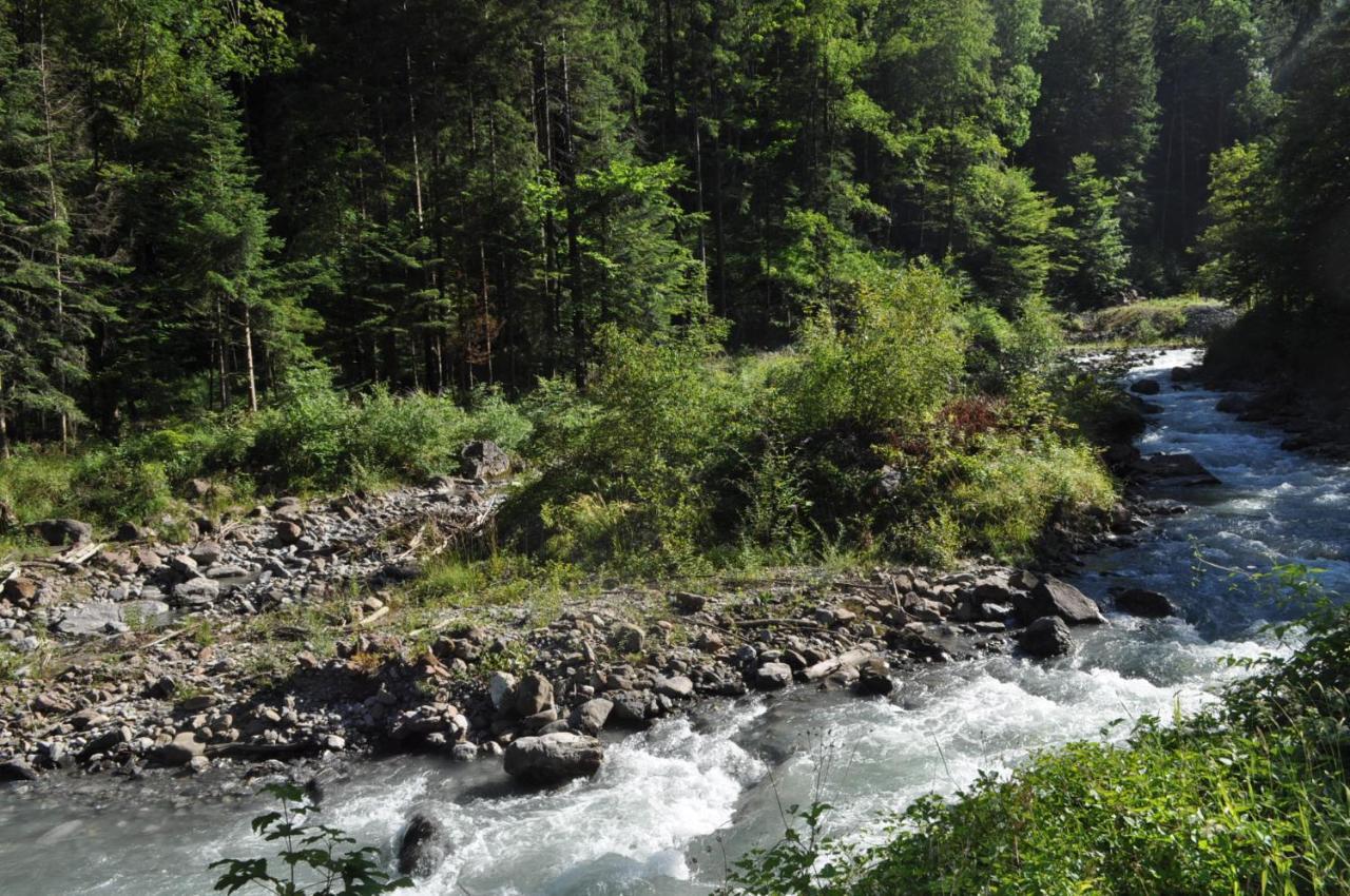 Ferienwohnung Ob Vierwaldsaettersee Isenthal Kültér fotó
